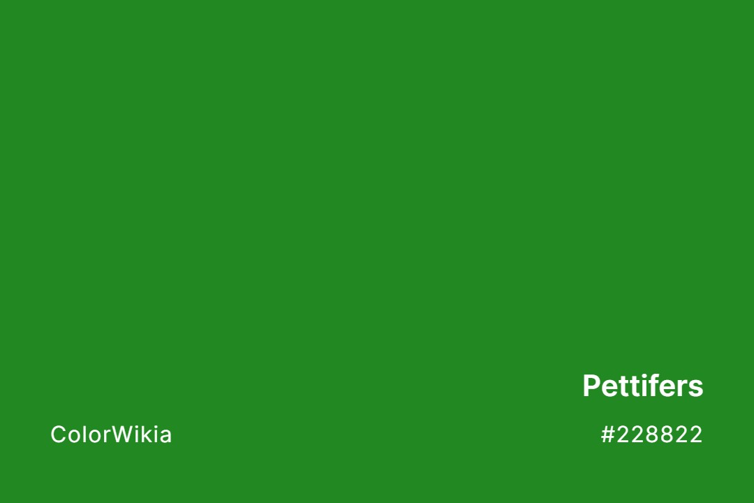 Pettifers Color – #228822: Codes and Complete Breakdown