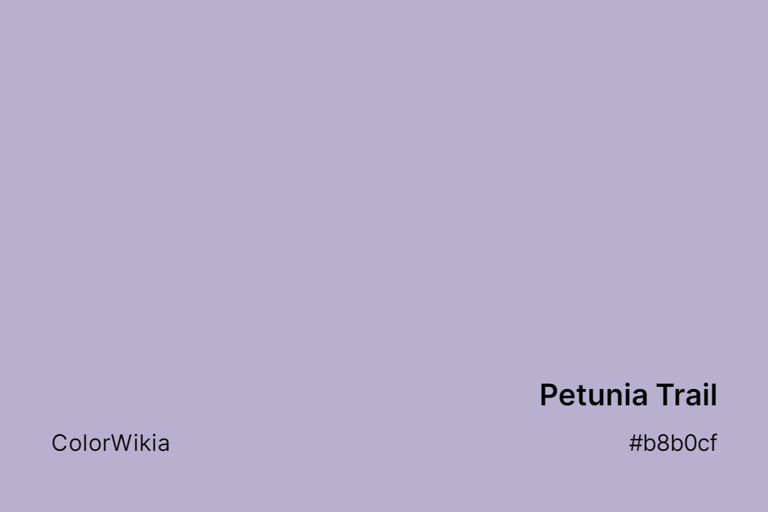 petunia trail color b8b0cf