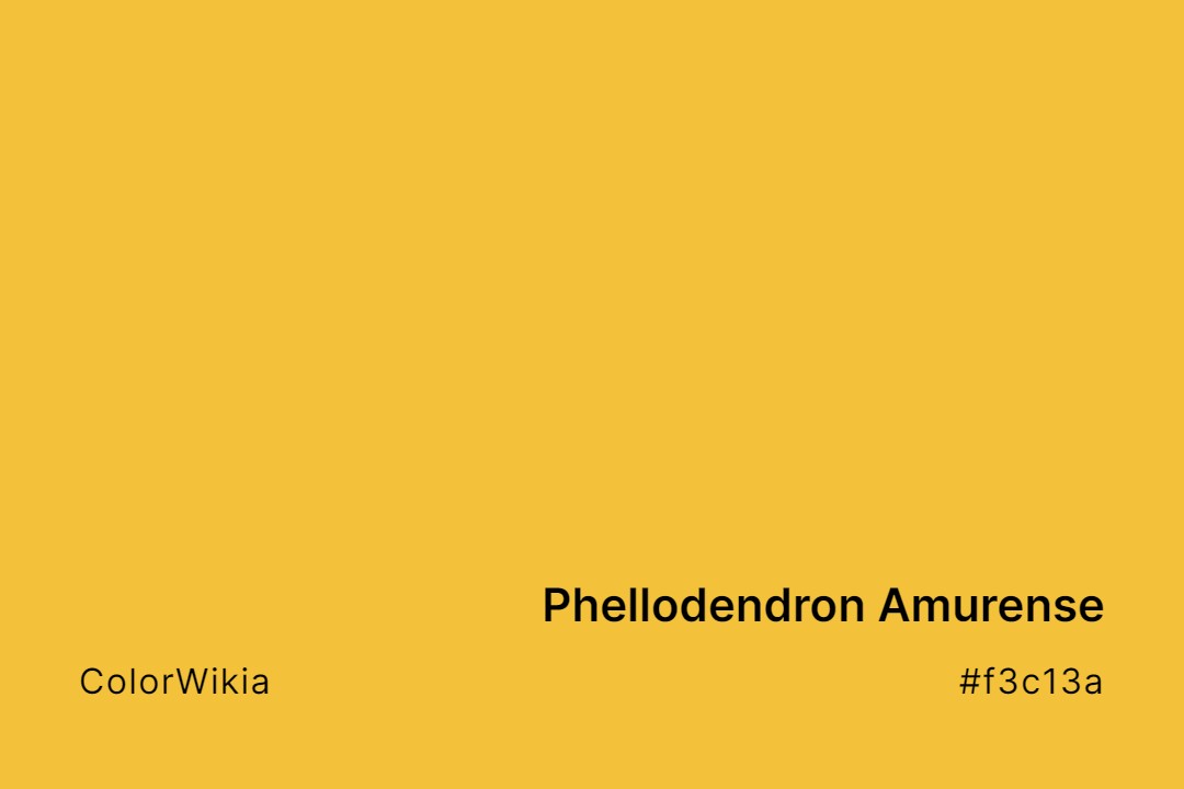 Phellodendron Amurense Color – #f3c13a: Codes and Complete Breakdown