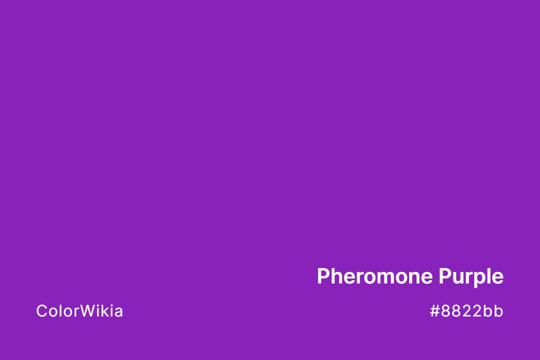 Pheromone Purple Color – #8822bb: Codes and Complete Breakdown