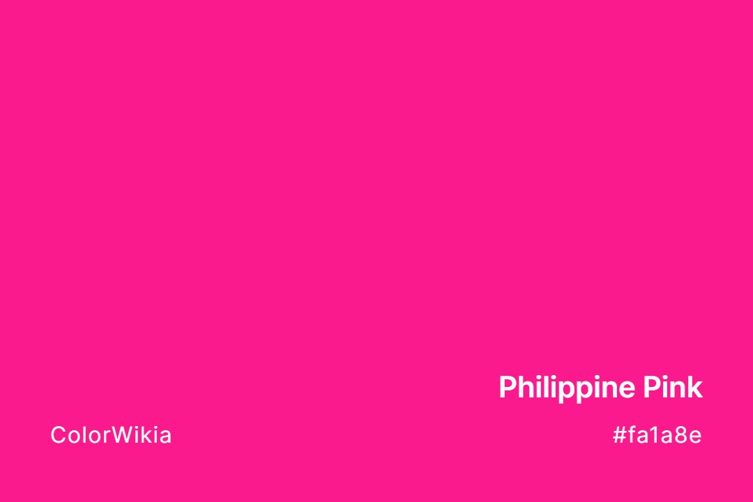 Philippine Pink Color – #fa1a8e: Codes and Complete Breakdown