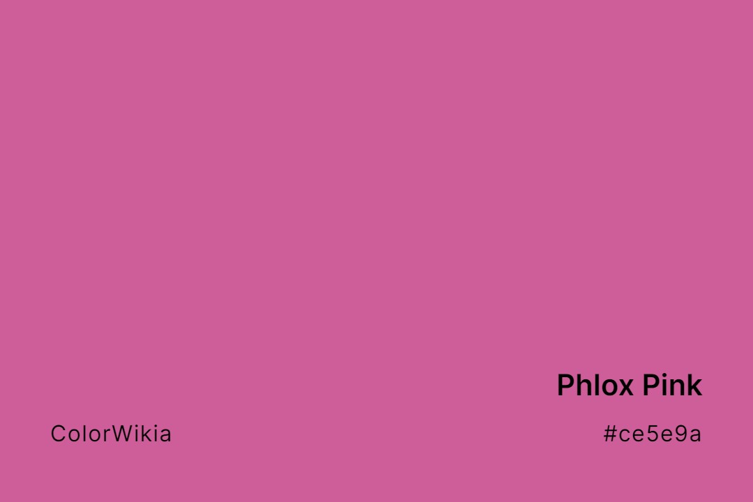 Phlox Pink Color – #ce5e9a: Codes and Complete Breakdown