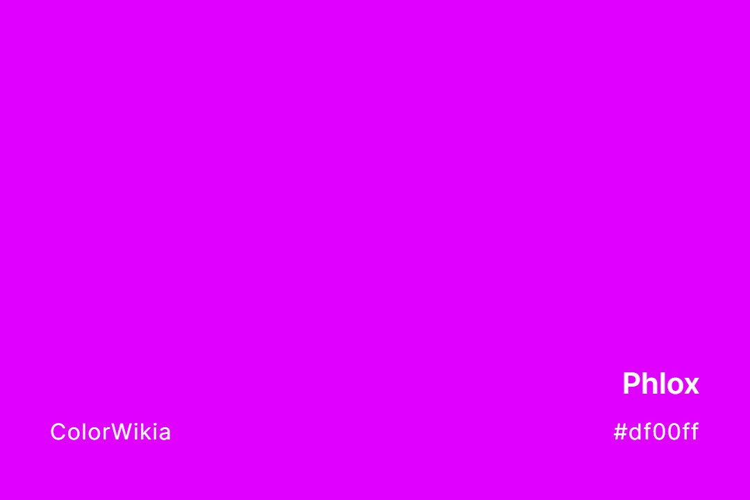 Phlox Color – #df00ff: Codes and Complete Breakdown