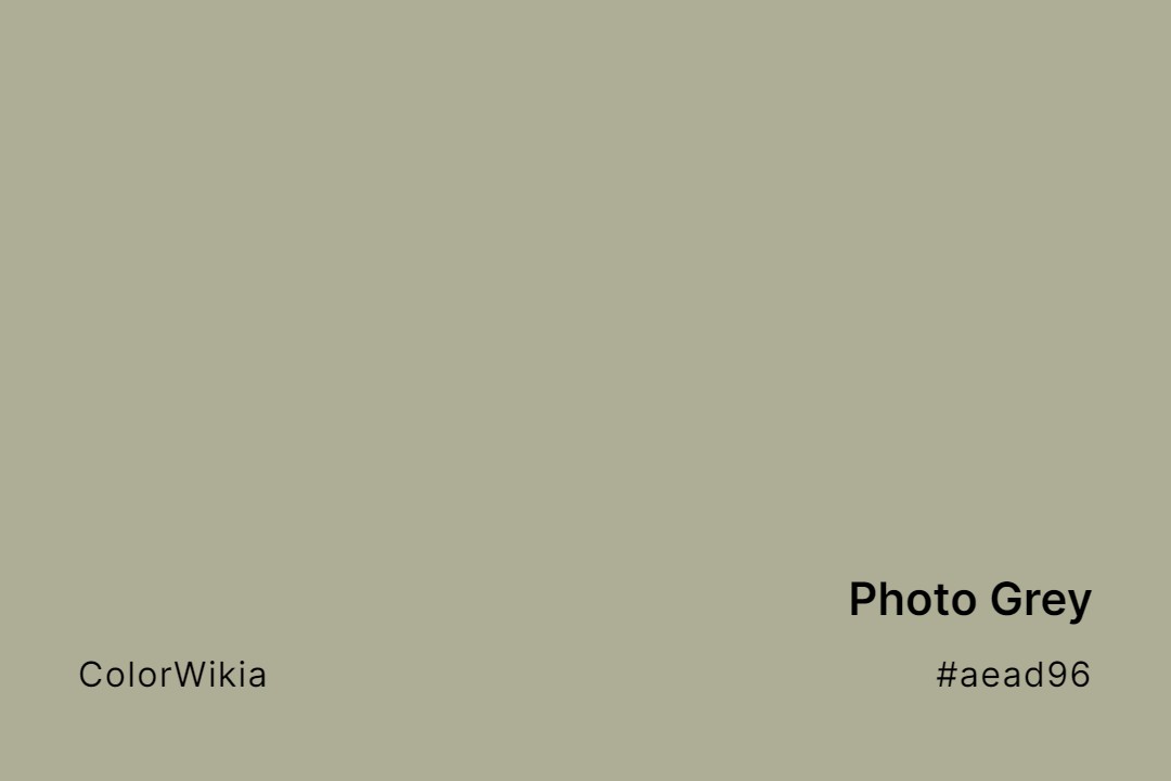 Photo Grey Color – #aead96: Codes and Complete Breakdown