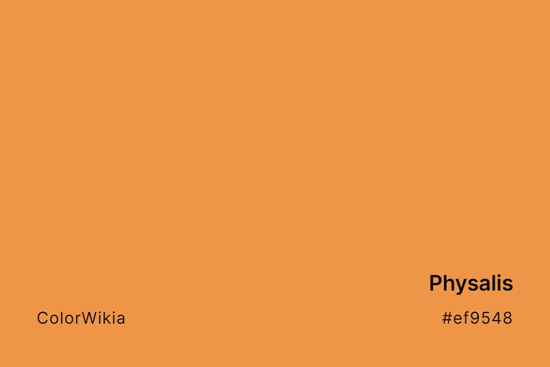 Physalis Color – #ef9548: Codes and Complete Breakdown