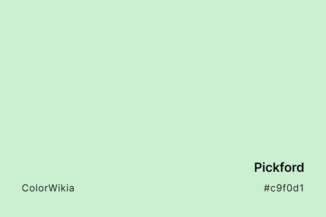 Pickford Color – #c9f0d1: Codes and Complete Breakdown