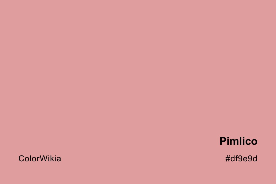Pimlico Color – #df9e9d: Codes and Complete Breakdown