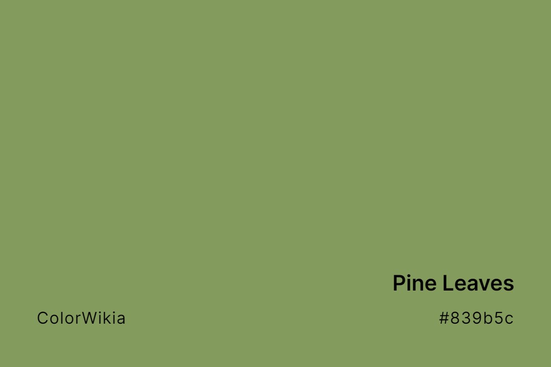 pine leaves color 839b5c