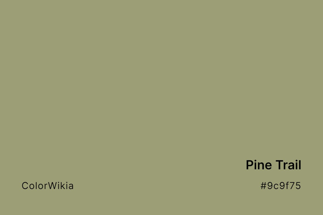 pine trail color 9c9f75