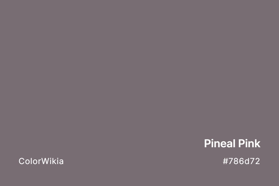 Pineal Pink Color – #786d72: Codes and Complete Breakdown