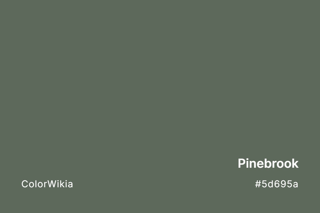 Pinebrook Color – #5d695a: Codes and Complete Breakdown