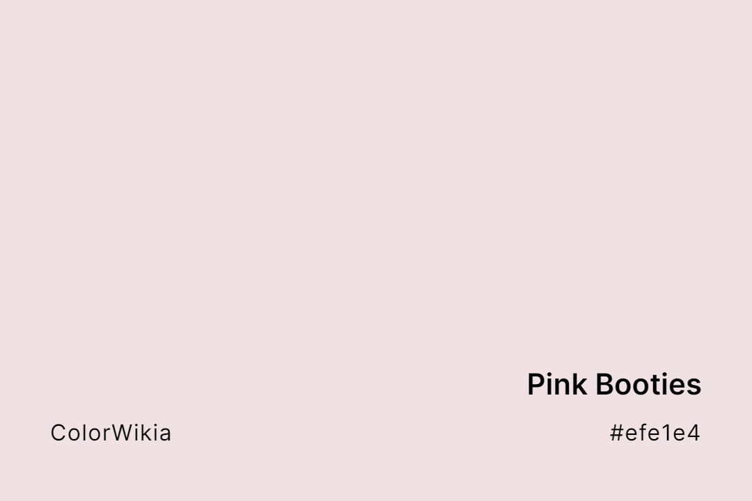 Pink Booties Color – #efe1e4: Codes and Complete Breakdown