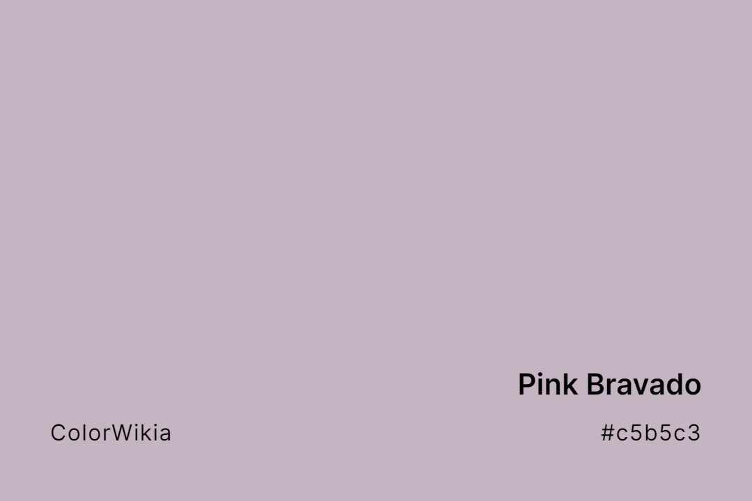 Pink Bravado Color – #c5b5c3: Codes and Complete Breakdown