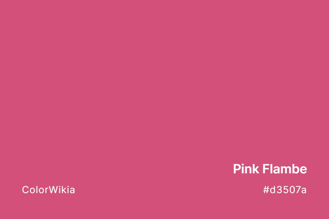 Pink Flambe Color – #d3507a: Codes and Complete Breakdown