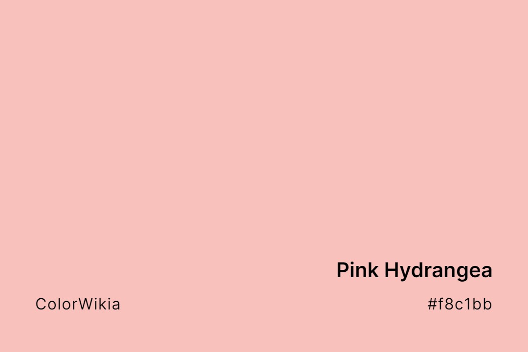 pink hydrangea color f8c1bb
