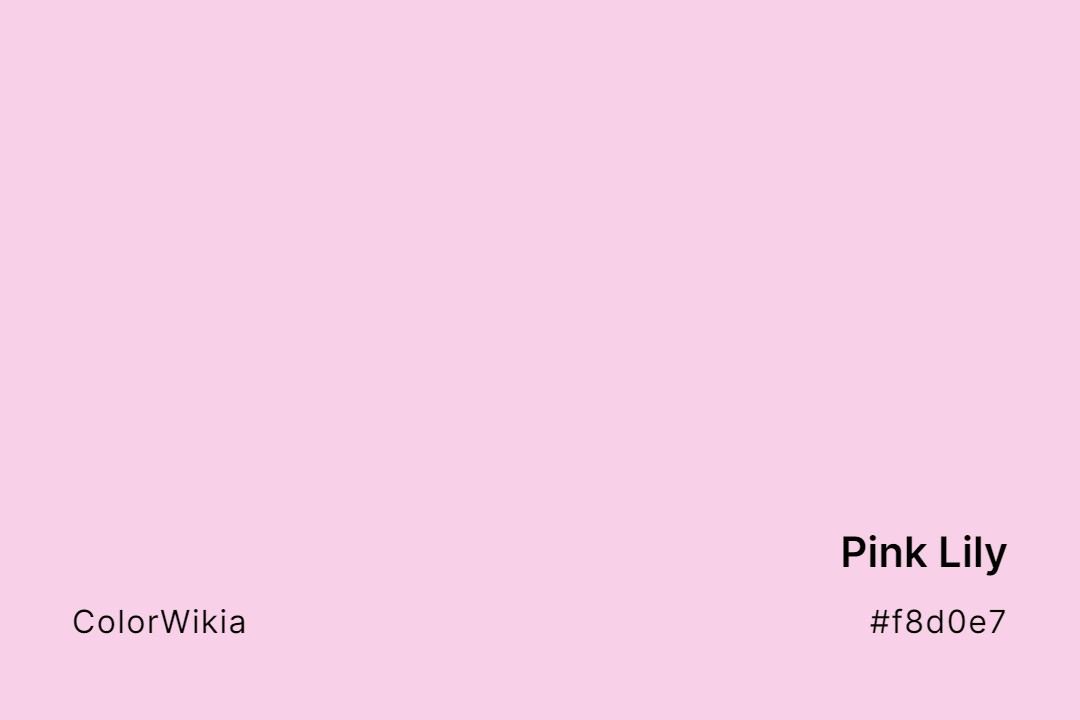 pink lily color f8d0e7