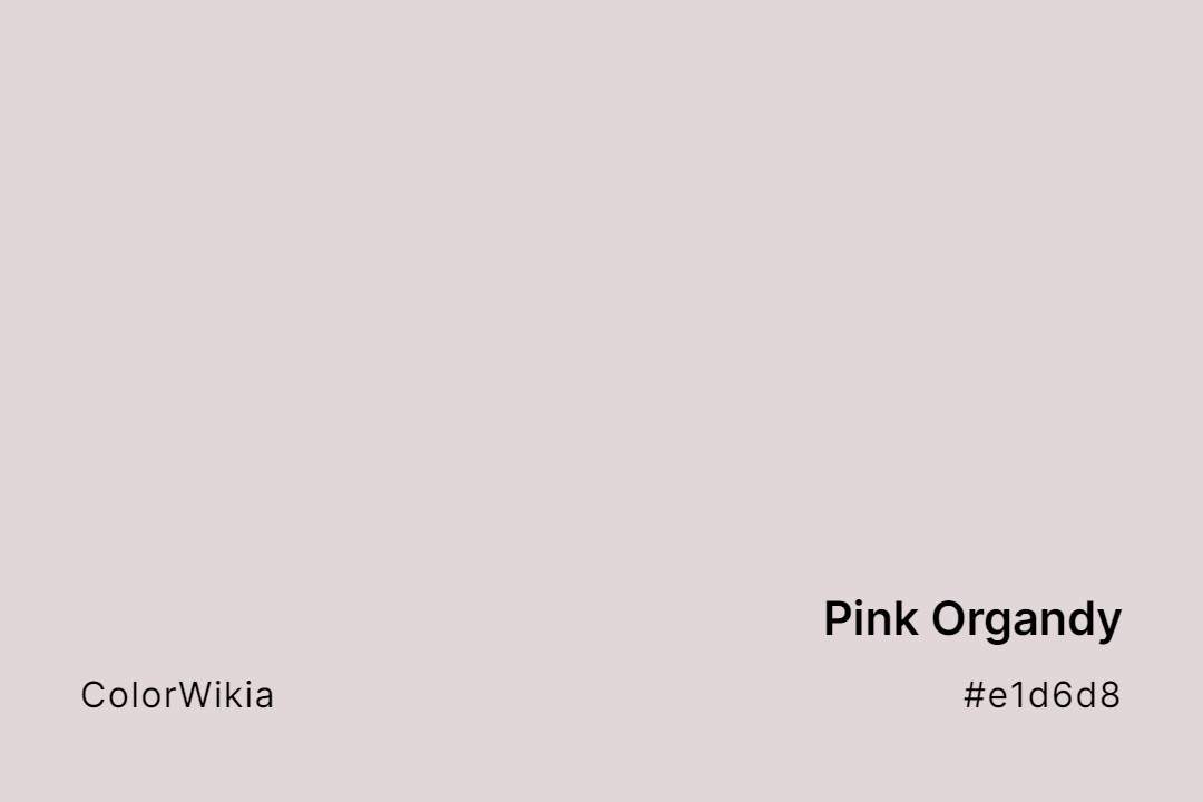 Pink Organdy Color – #e1d6d8: Codes and Complete Breakdown