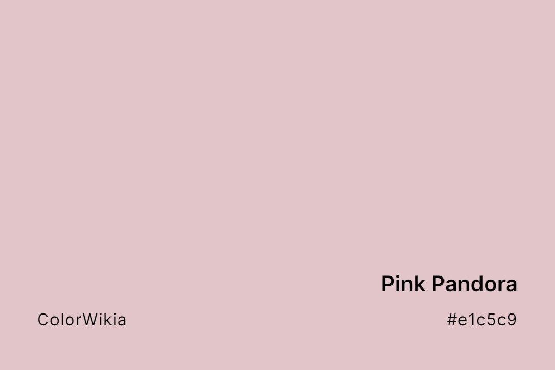 Pink Pandora Color – #e1c5c9: Codes and Complete Breakdown