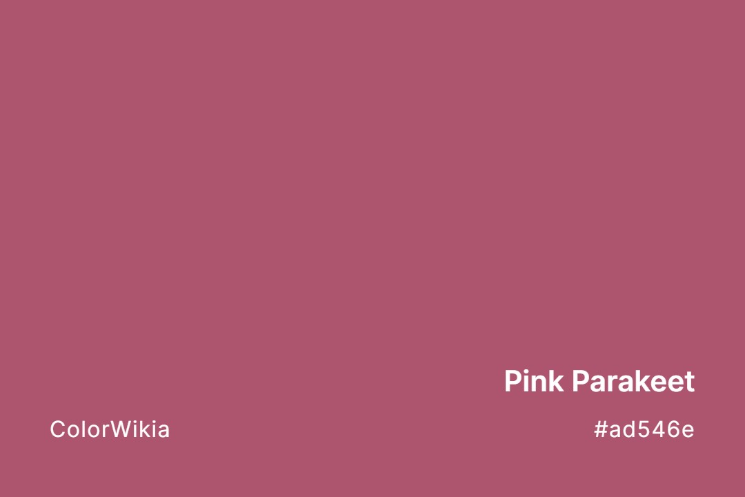 pink parakeet color ad546e