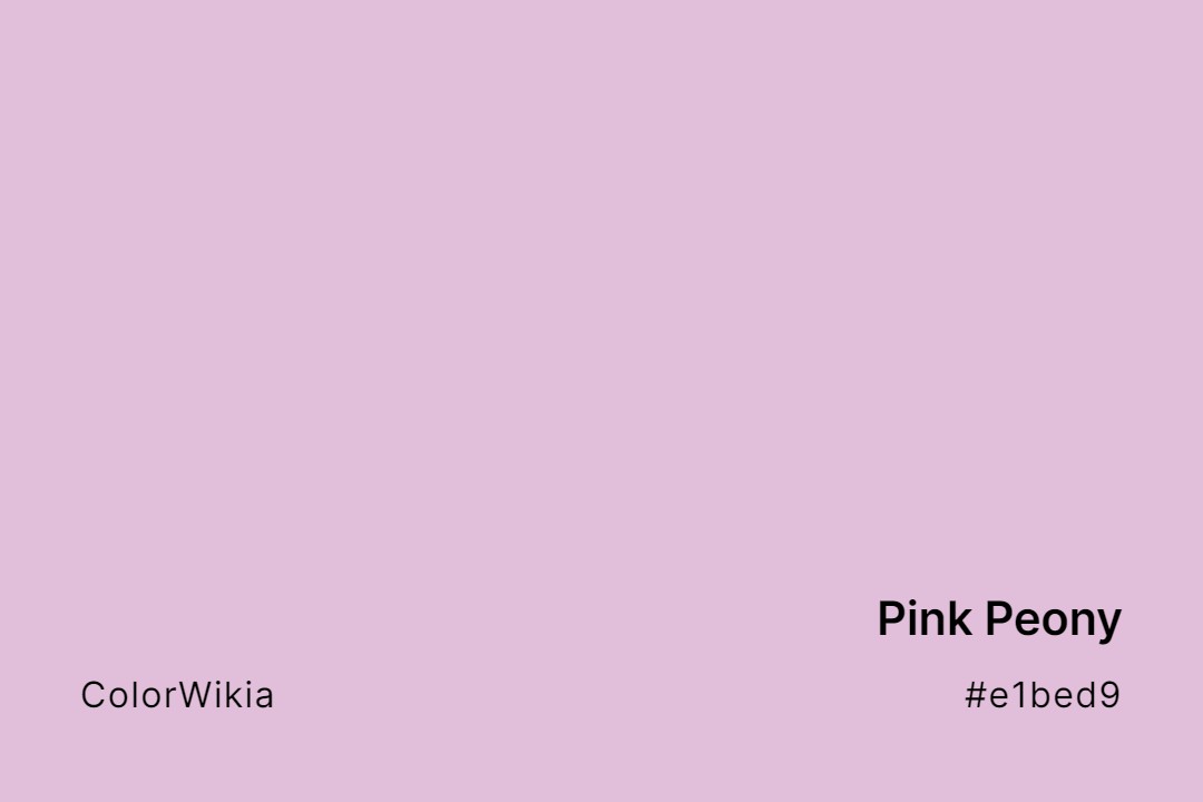 Pink Peony Color – #e1bed9: Codes and Complete Breakdown