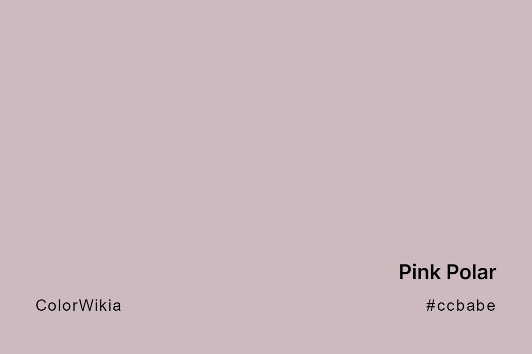 Pink Polar Color – #ccbabe: Codes and Complete Breakdown