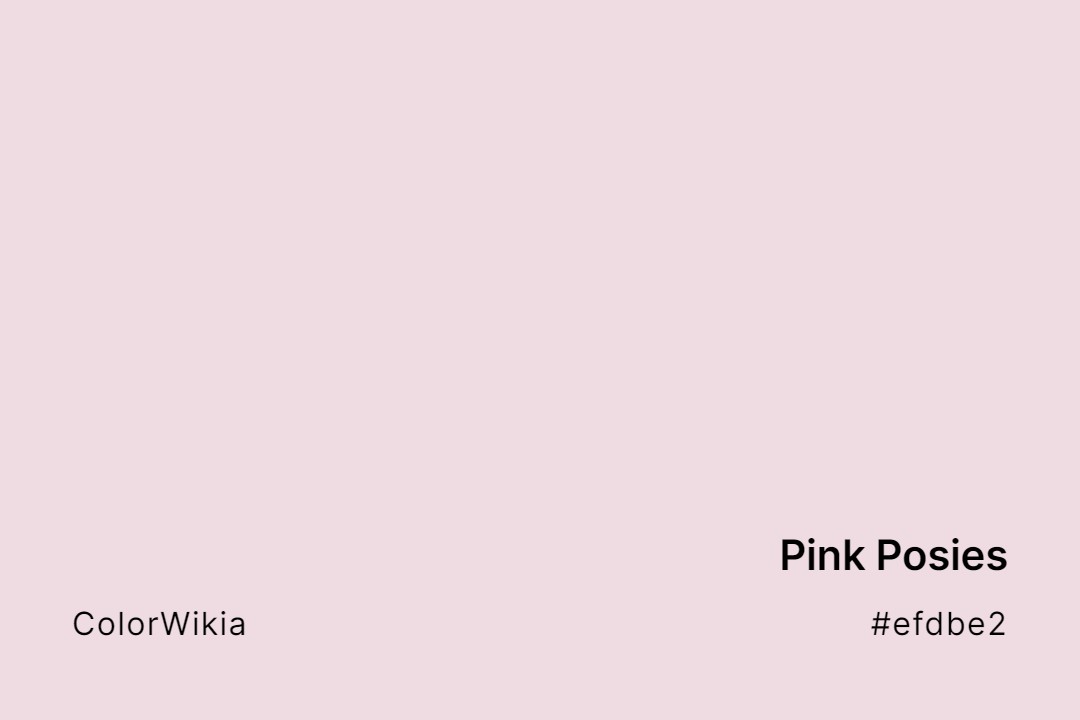 Pink Posies Color – #efdbe2: Codes and Complete Breakdown