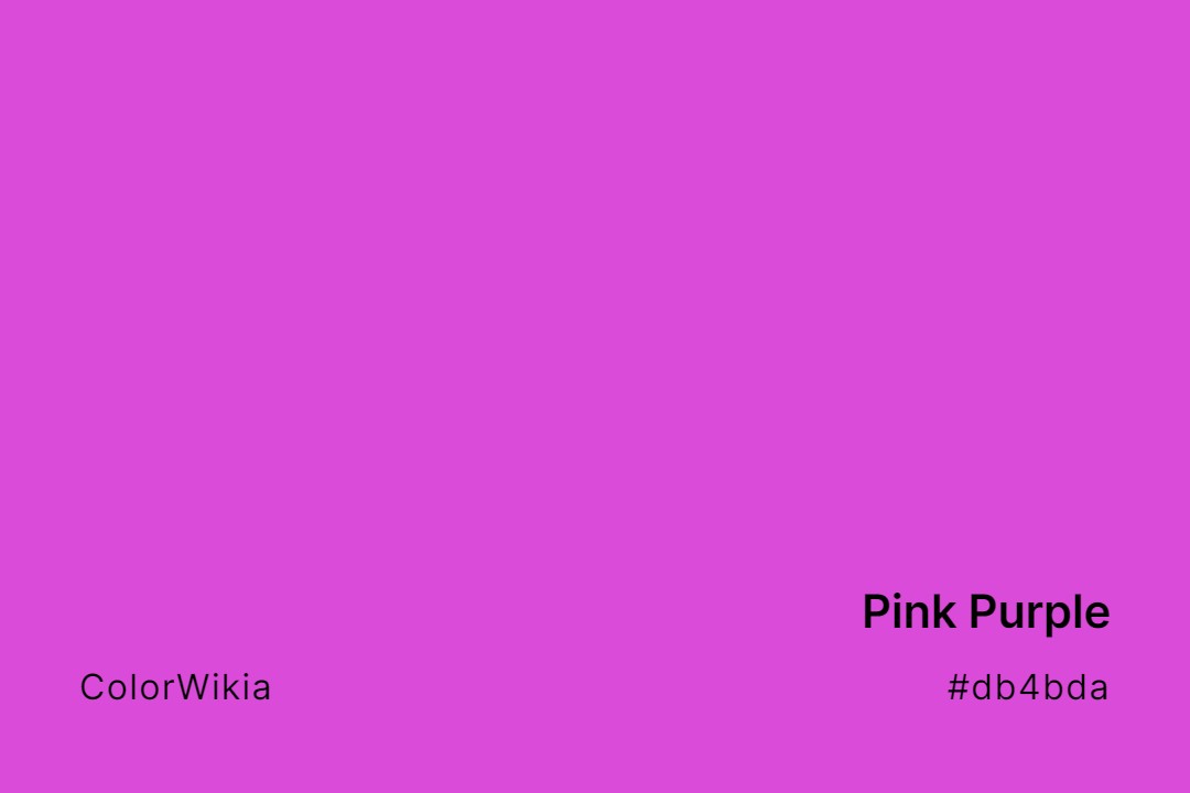 Pink Purple Color – #db4bda: Codes and Complete Breakdown