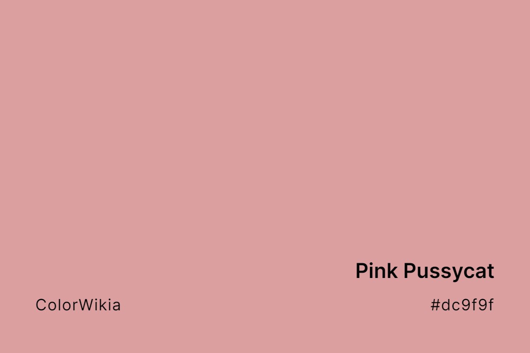 Pink Pussycat Color – #dc9f9f: Codes and Complete Breakdown