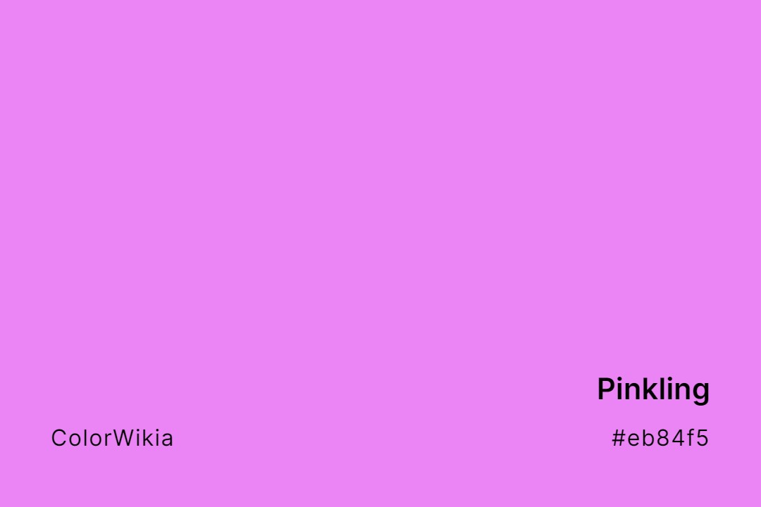 Pinkling Color – #eb84f5: Codes and Complete Breakdown