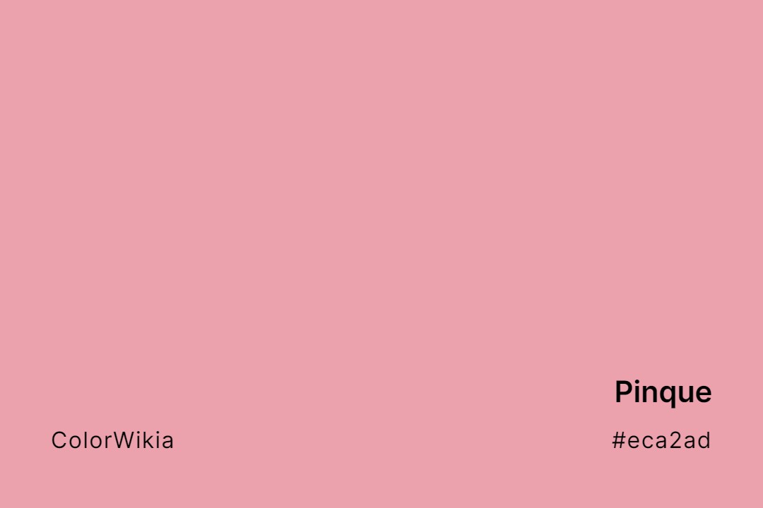 Pinque Color – #eca2ad: Codes and Complete Breakdown