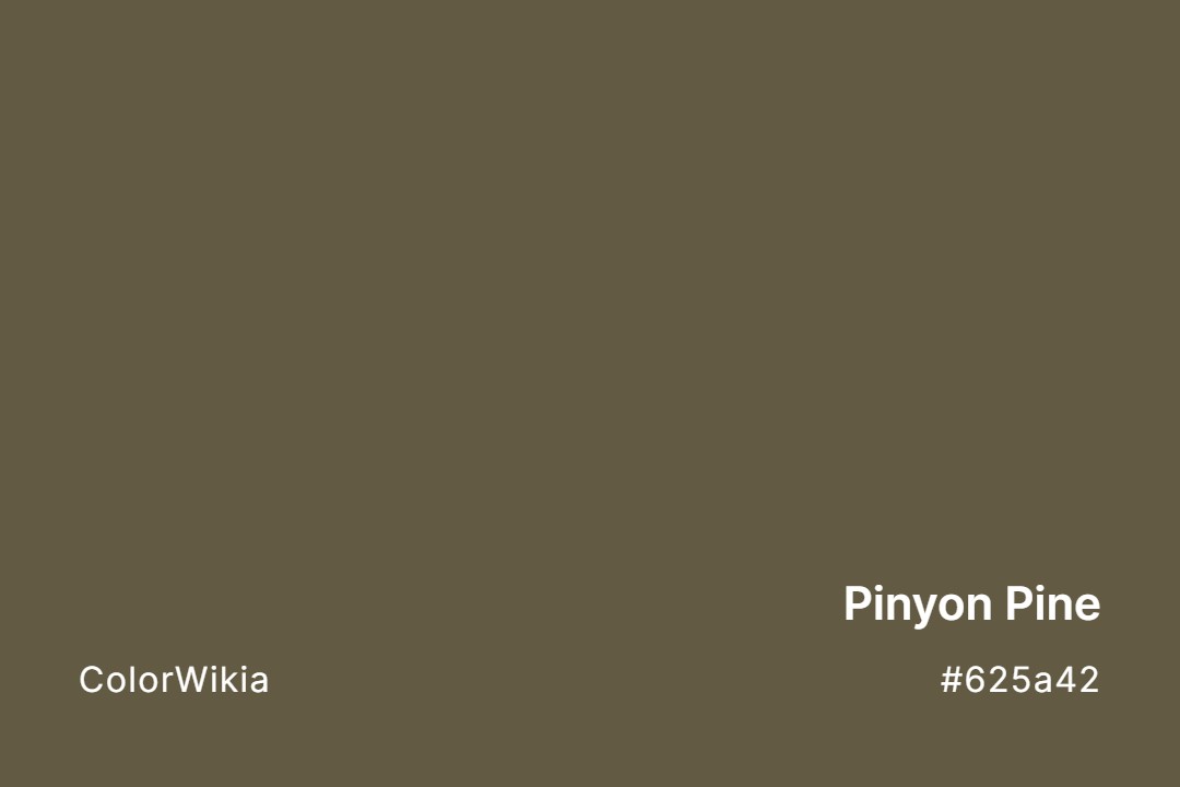 pinyon pine color 625a42