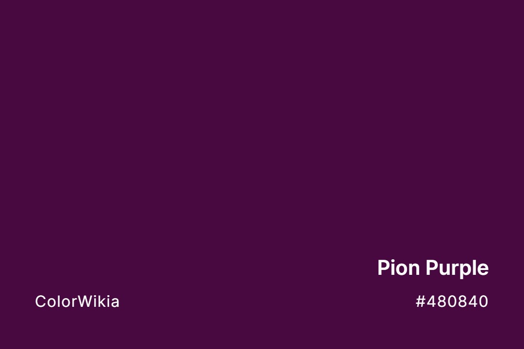 Pion Purple Color – #480840: Codes and Complete Breakdown