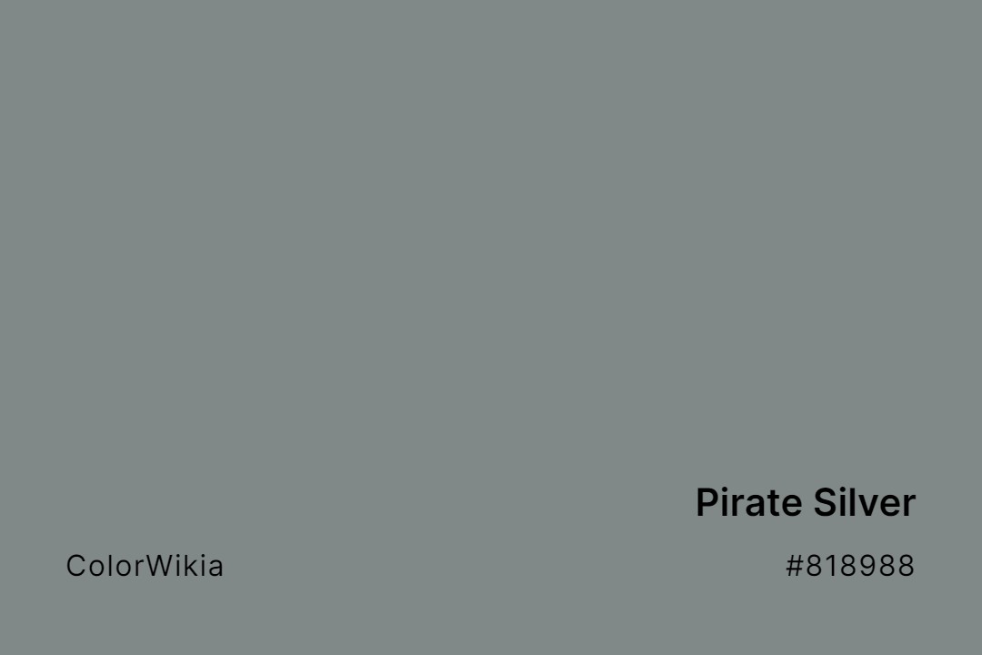 pirate silver color 818988