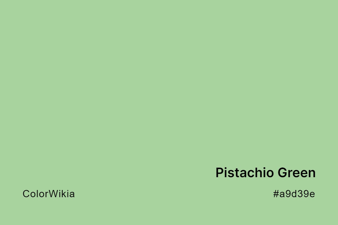 Pistachio Green Color – #a9d39e: Codes and Complete Breakdown