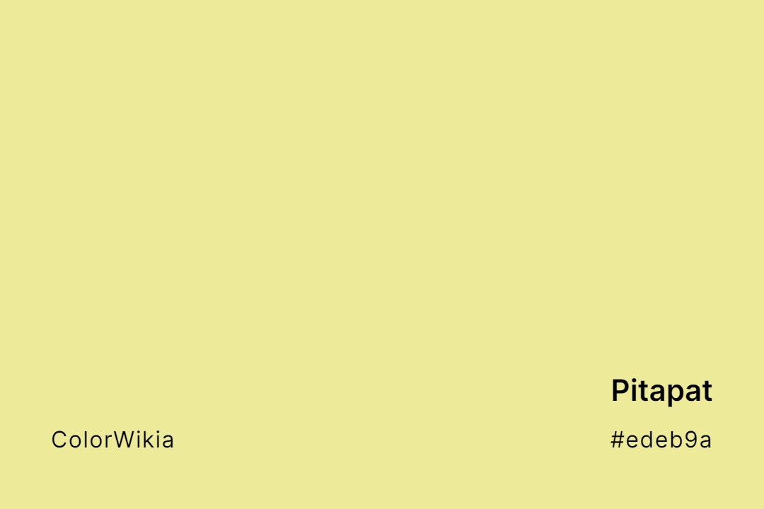 Pitapat Color – #edeb9a: Codes and Complete Breakdown