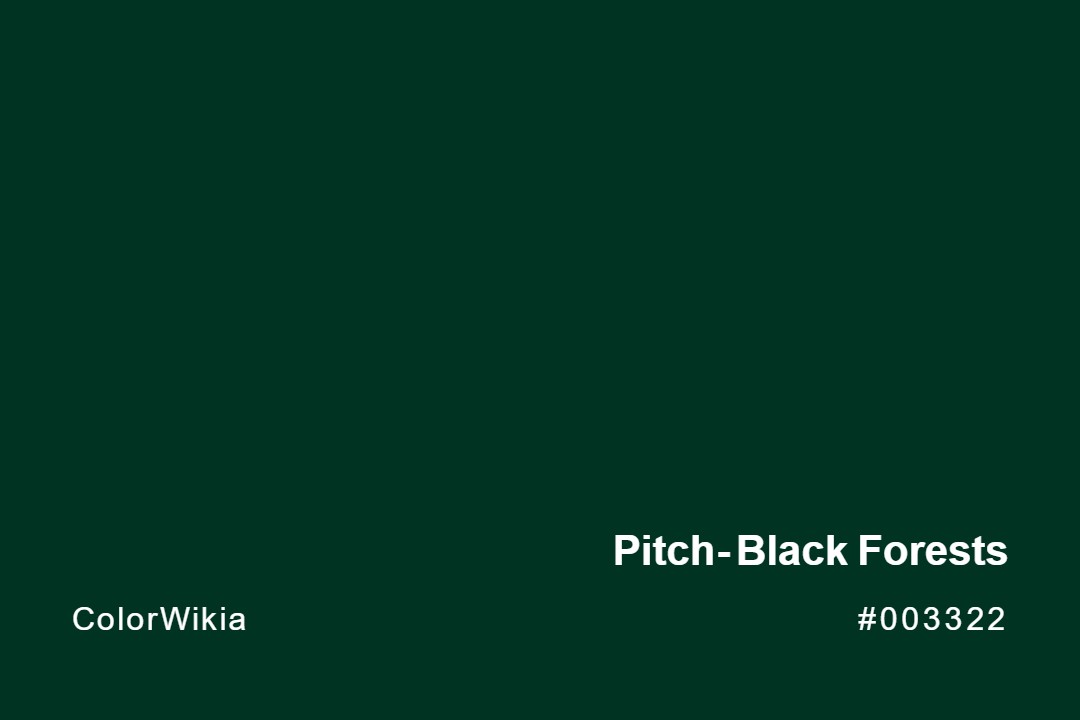 Pitch-Black Forests Color – #003322: Codes and Complete Breakdown