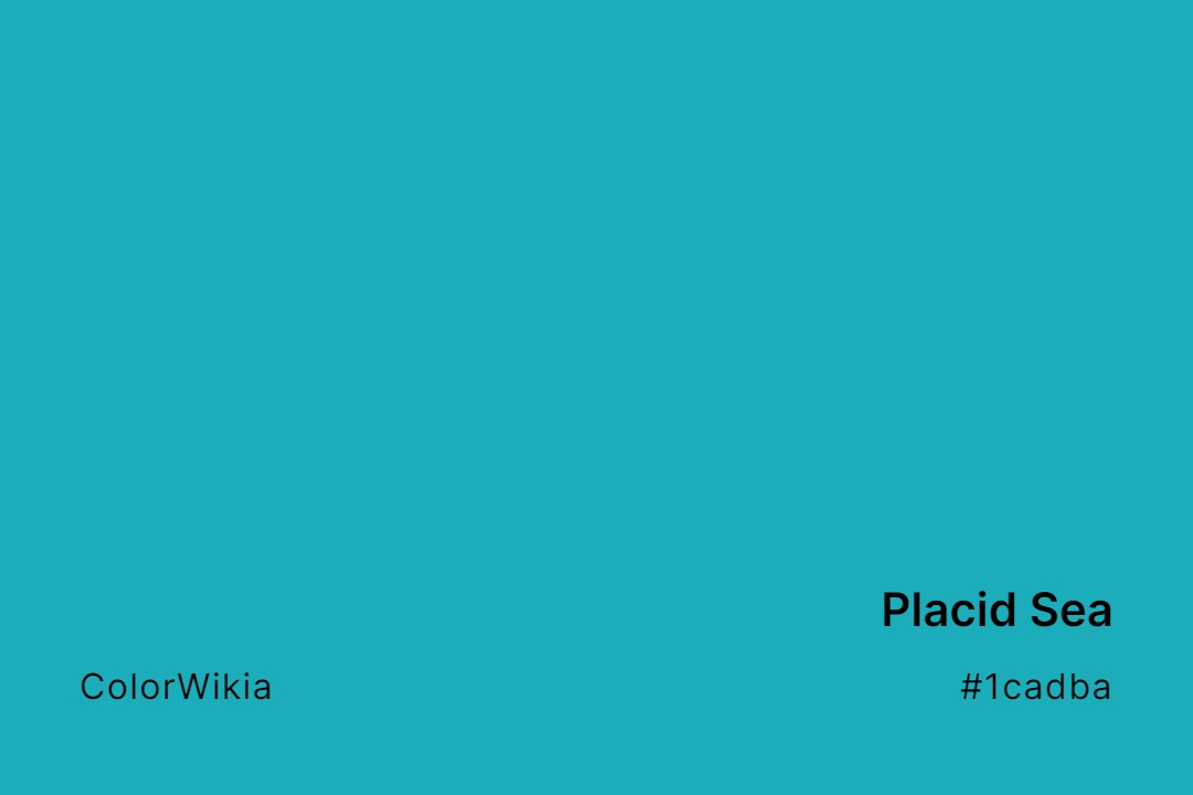 Placid Sea Color – #1cadba: Codes and Complete Breakdown