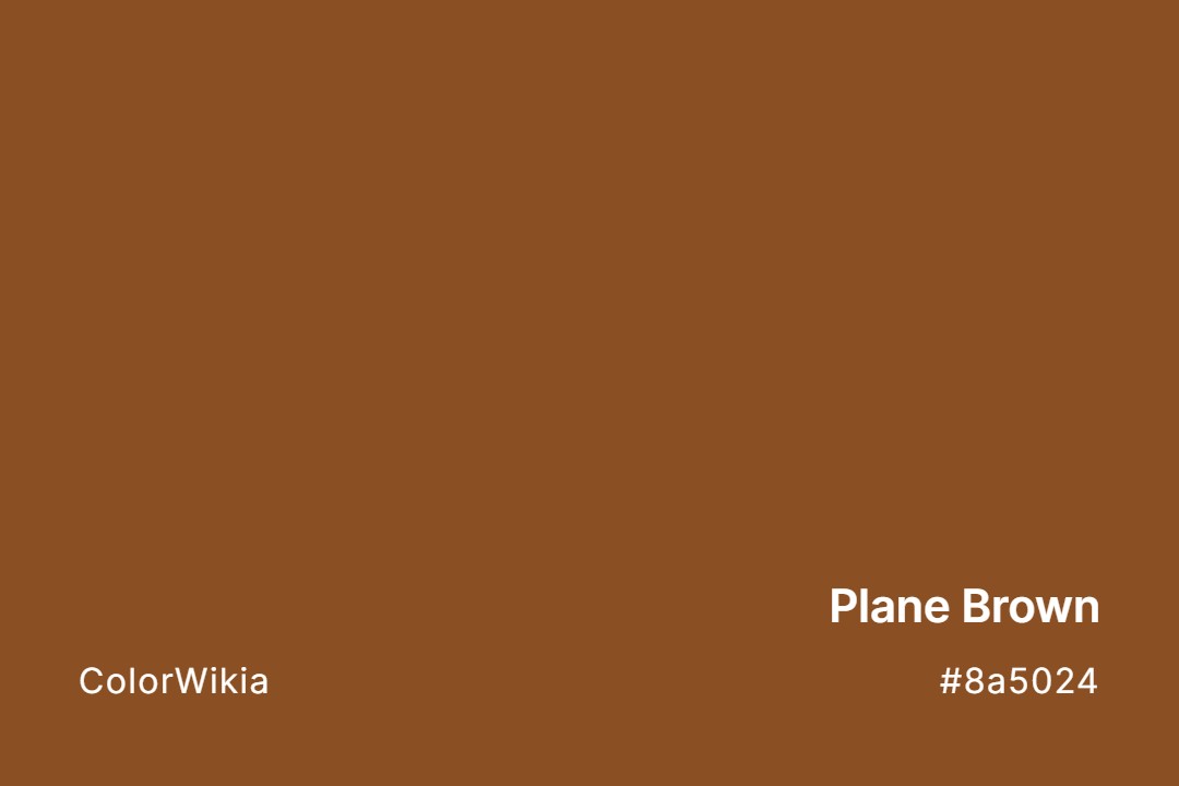 Plane Brown Color – #8a5024: Codes and Complete Breakdown