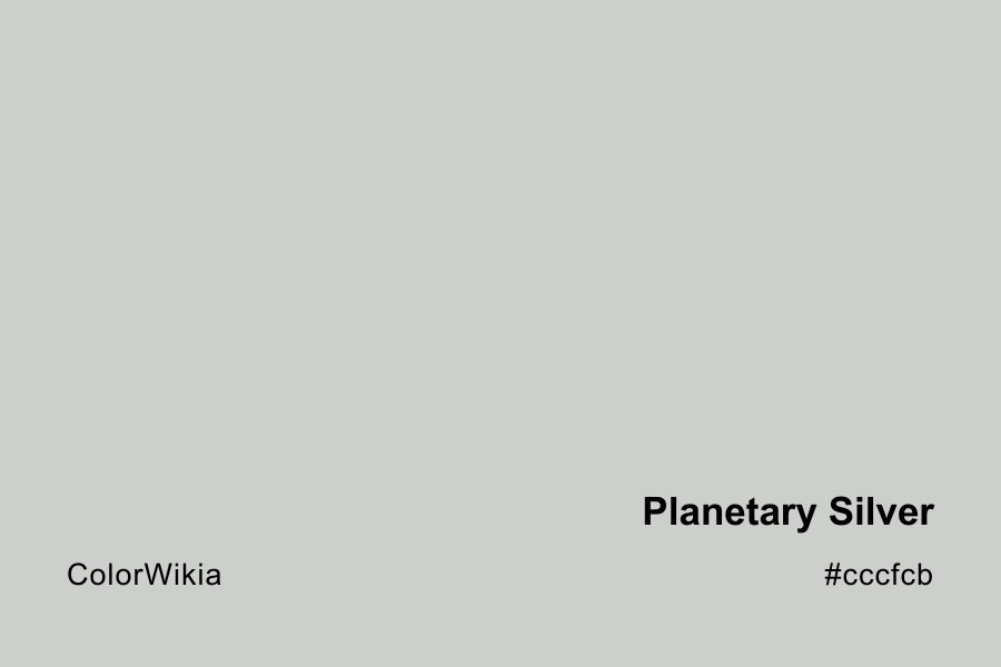 Planetary Silver Color – #cccfcb: Codes and Complete Breakdown