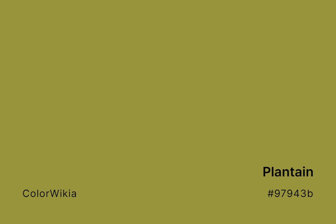 plantain color 97943b