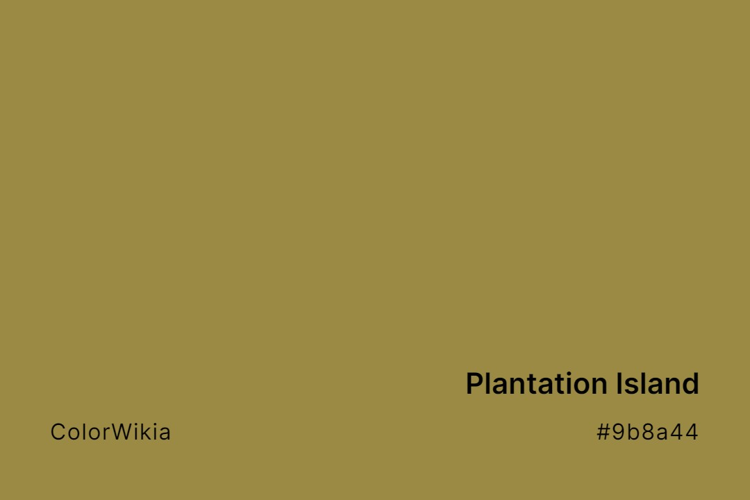 Plantation Island Color – #9b8a44: Codes and Complete Breakdown