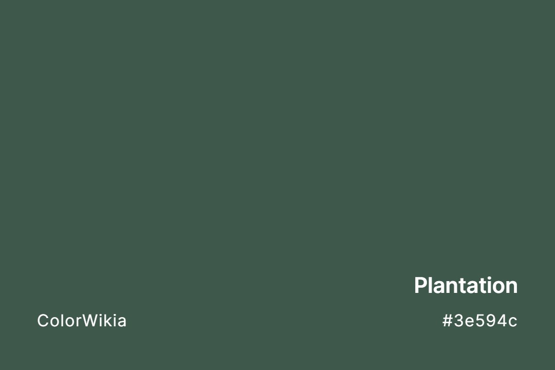 Plantation Color – #3e594c: Codes and Complete Breakdown
