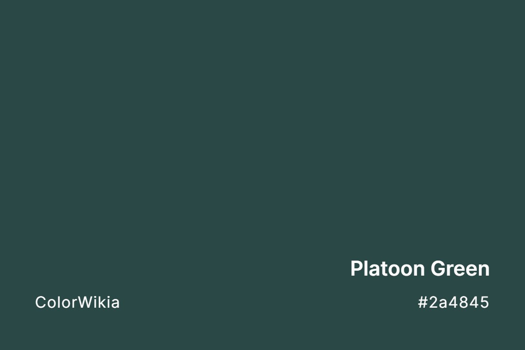 Platoon Green Color – #2a4845: Codes and Complete Breakdown