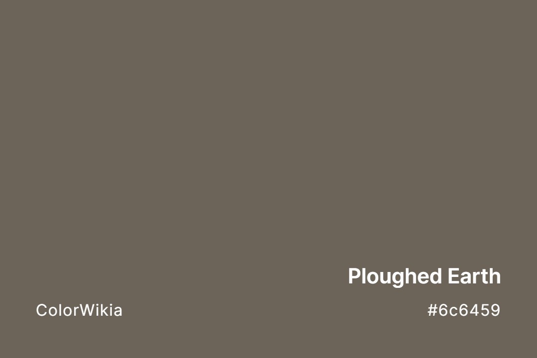 Ploughed Earth Color – #6c6459: Codes and Complete Breakdown