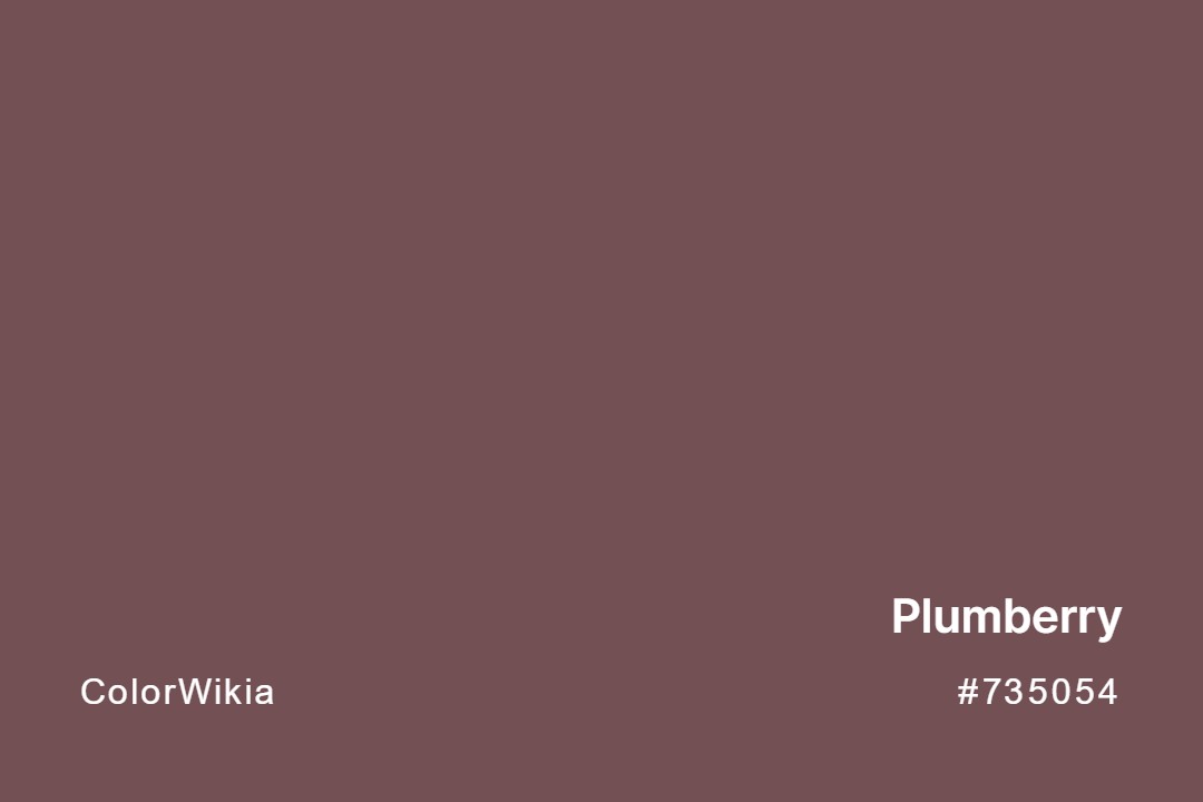 Plumberry Color – #735054: Codes and Complete Breakdown