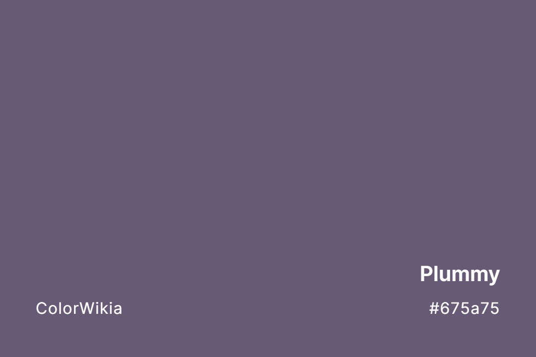 Plummy Color – #675a75: Codes and Complete Breakdown