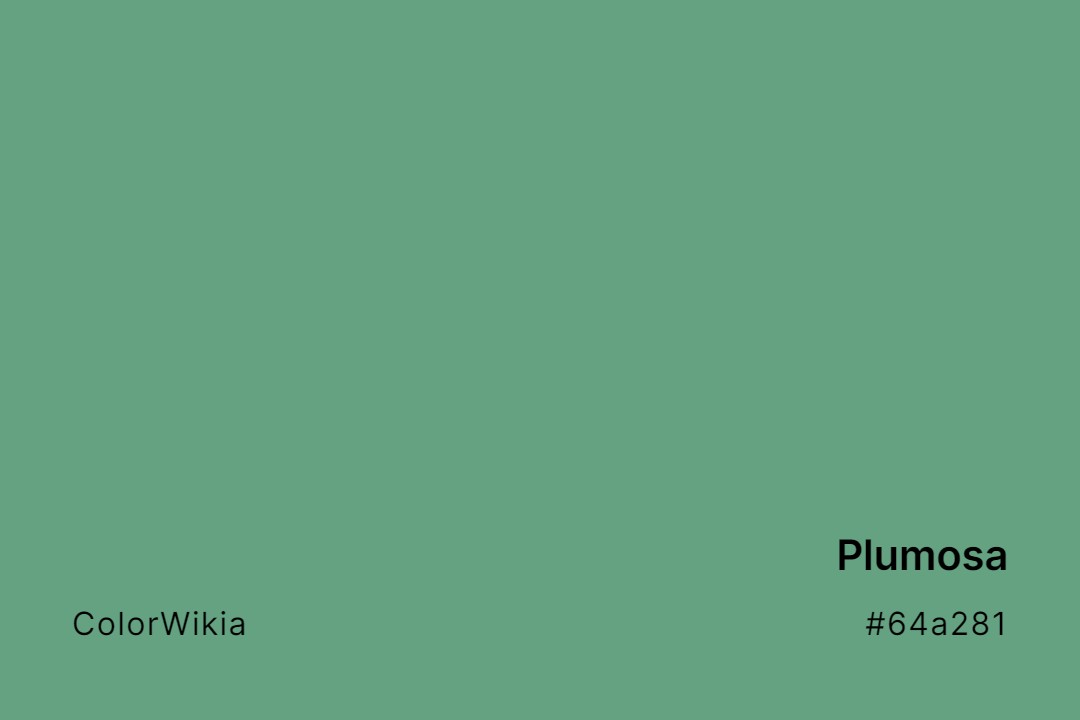 Plumosa Color – #64a281: Codes and Complete Breakdown