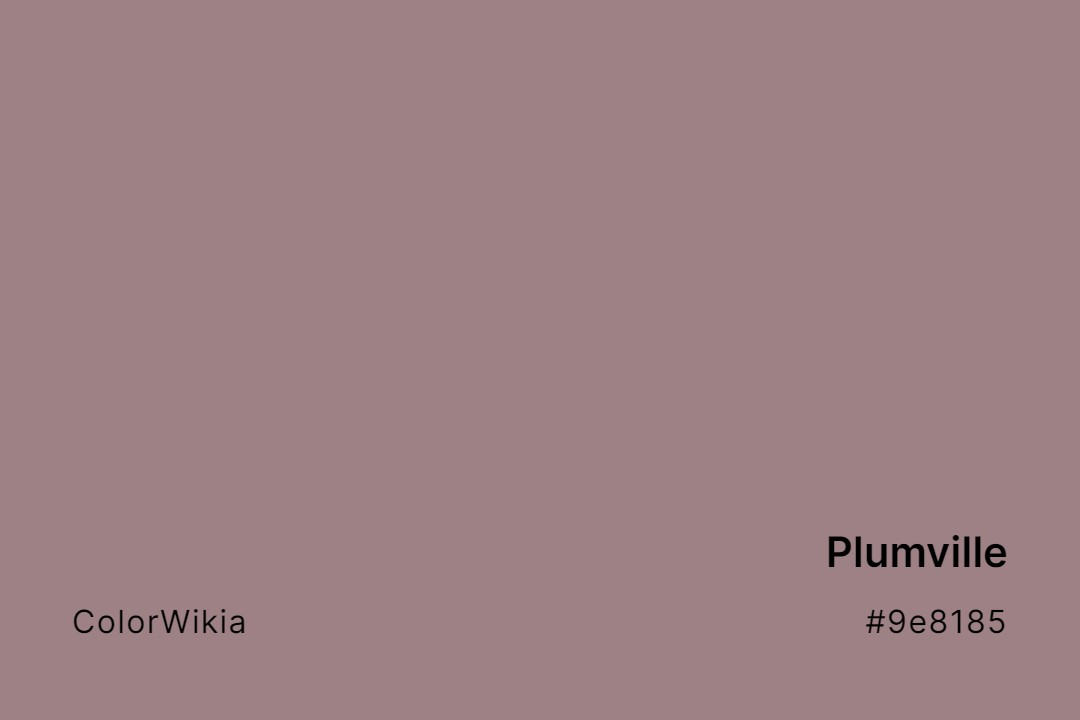 Plumville Color – #9e8185: Codes and Complete Breakdown