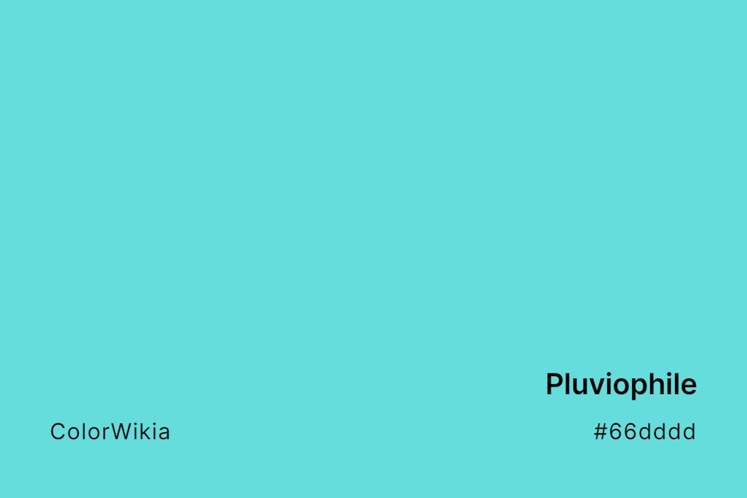 Pluviophile Color – #66dddd: Codes and Complete Breakdown