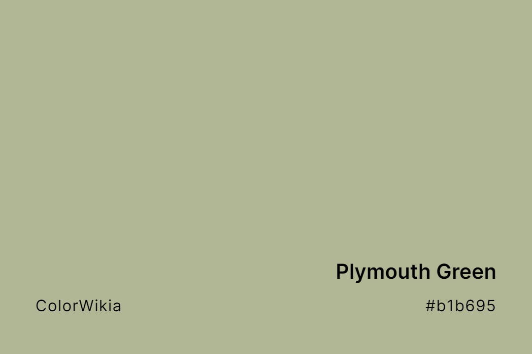 Plymouth Green Color – #b1b695: Codes and Complete Breakdown
